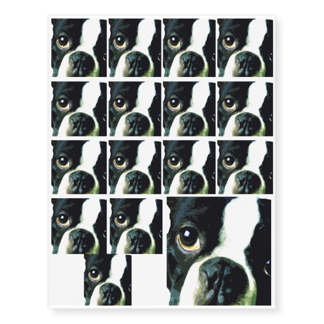 modern big Boston Terrier Temporary Tattoos (Front)