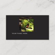 Modern Bird business card
