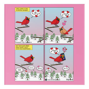 Modern Bird Mating Calls Comic Acrylic Print