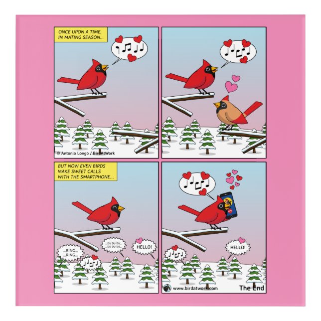 Modern Bird Mating Calls Comic Acrylic Print (Front)