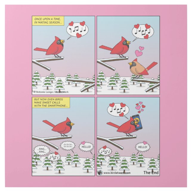 Modern Bird Mating Calls Comic Gallery Wrap (Front)