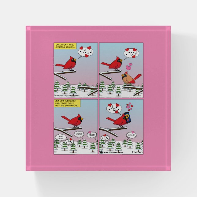 Modern Bird Mating Calls Comic Paperweight (Front)