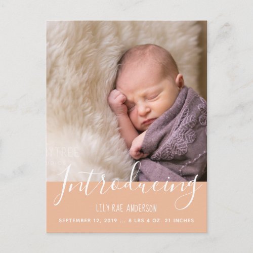 Modern Birth Announcement Baby Girl Photo Postcard