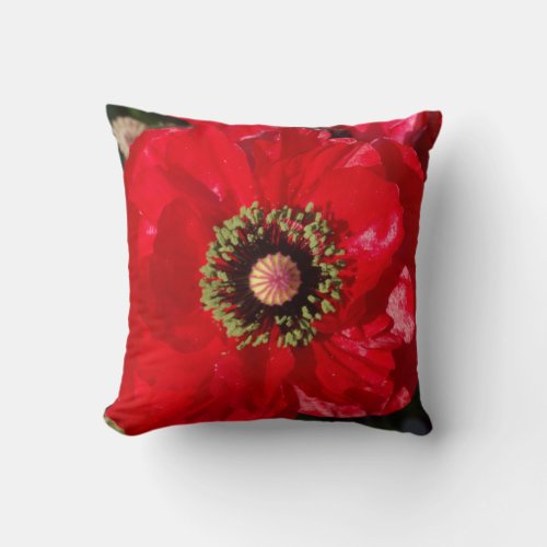 Modern Black and Red California Poppy flower Throw Pillow