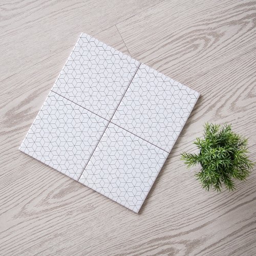 Modern Black and White Isometric Pattern  Ceramic Tile