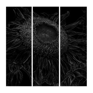 Modern Black And White Sunflower Floral Sketch Art