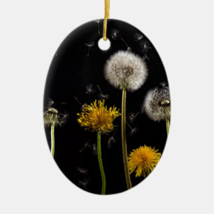 Modern Black Dandelion Ceramic Ornament