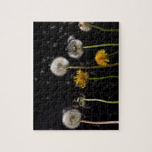 Modern Black Dandelion Jigsaw Puzzle