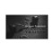 Modern black fitness personal trainer workout