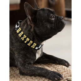 Modern Black White Checkered Dog Puppy Gold Name Pet Collar