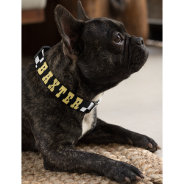 Modern Black White Checkered Dog Puppy Gold Name Pet Collar at Zazzle