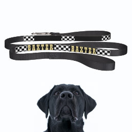 Modern Black White Checkered Dog Puppy Gold Name Pet Leash