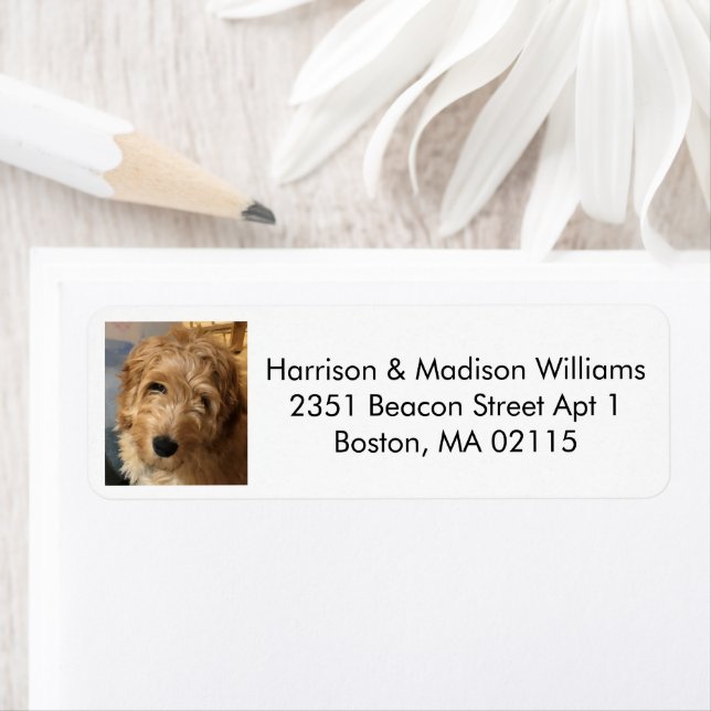 Modern black white custom photo return address label (Insitu)