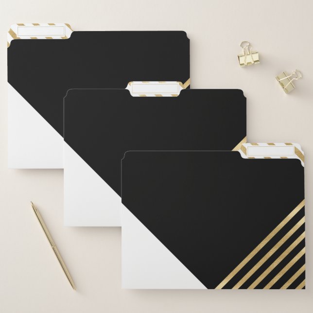 Modern Black White Geometric Gold Stripes File Folder (Set)