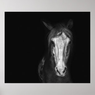 Modern Black White Horse Dramatic Poster