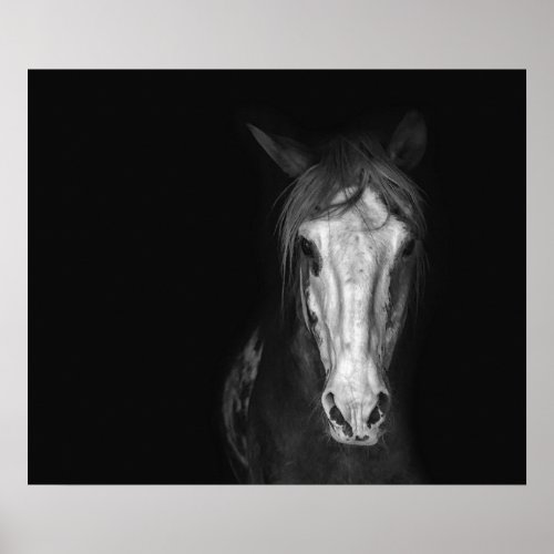 Modern Black White Horse Dramatic  Poster