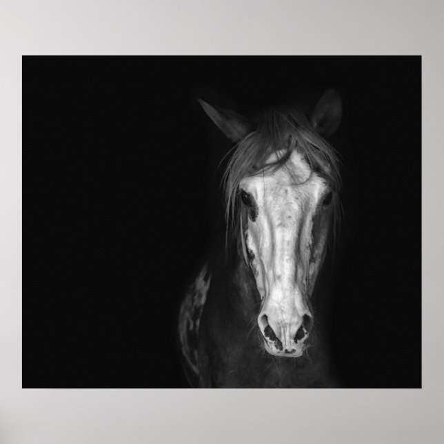 Modern Black White Horse Dramatic  Poster (Front)