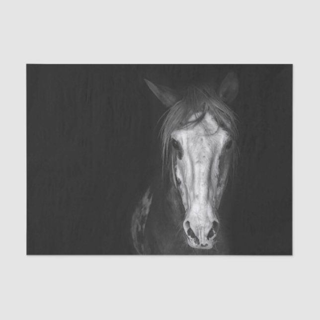 Modern Black White Horse  Tissue Paper (Front)
