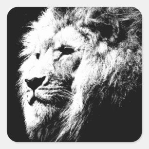Modern Black & White Pop Art Lion Head Trendy Square Sticker