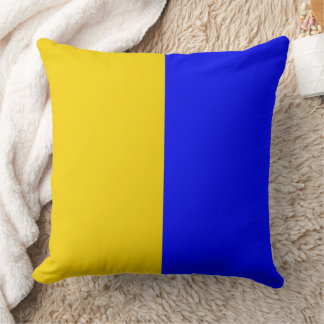 Modern Blue and Gold Throw Pillow
