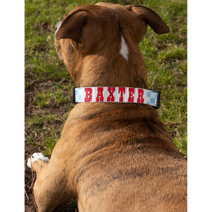 Modern Blue Checkered Dog Puppy Doggy Name Custom Pet Collar