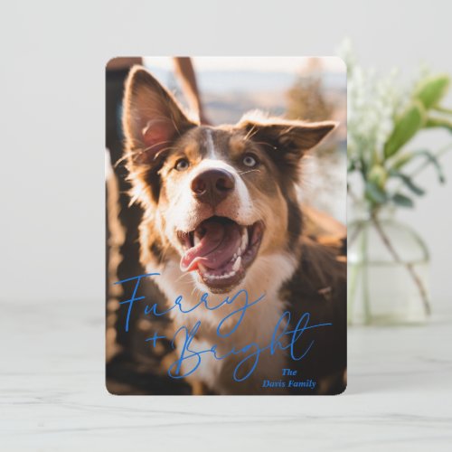 Modern Blue Simple Photo Cute Dog Christmas Holiday Card