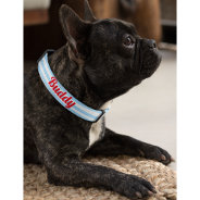 Modern Blue Stripes Cute Dog Puppy Doggy Name Pet Collar at Zazzle