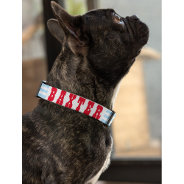 Modern Blue Stripes Dog Puppy Doggy Name Custom Pet Collar at Zazzle