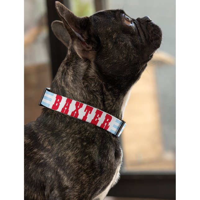Modern Blue Stripes Dog Puppy Doggy Name Custom Pet Collar (Cute Modern Blue Stripes Dog Puppy Doggy Cat Name Pet Collar)