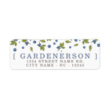 Modern Blueberries