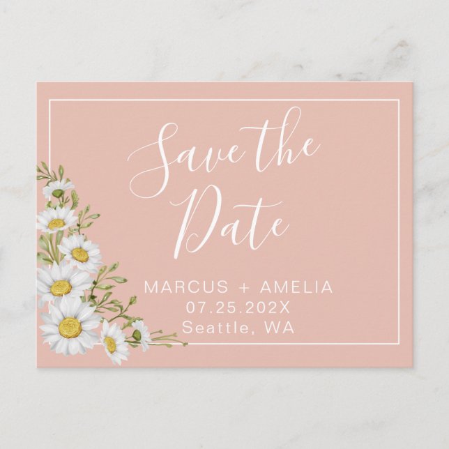 Modern  Blush & White Daisies   Save The Date Announcement Postcard (Front)