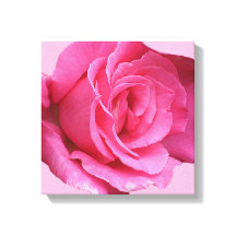 Modern boho pretty pink rose digital fine art