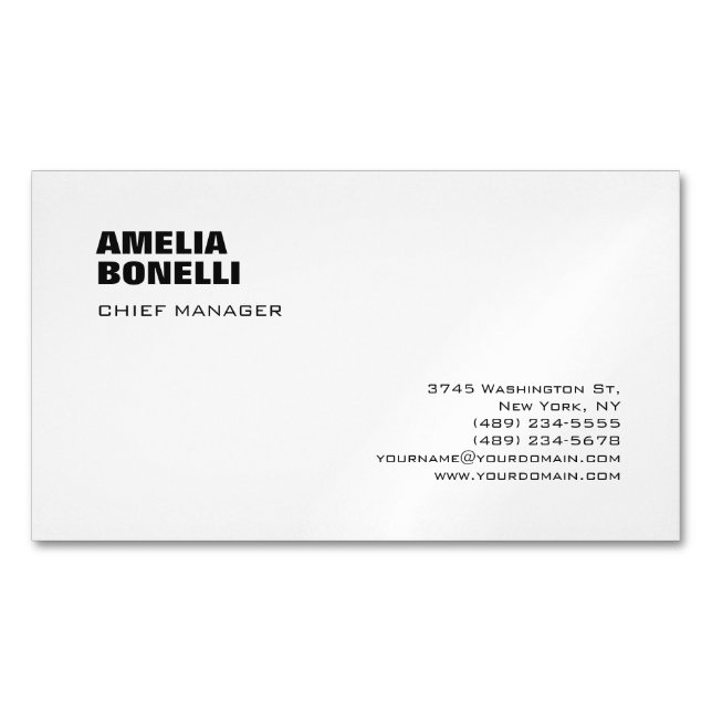 Modern Bold Minimalist Professional  Business Card Magnet (Front)