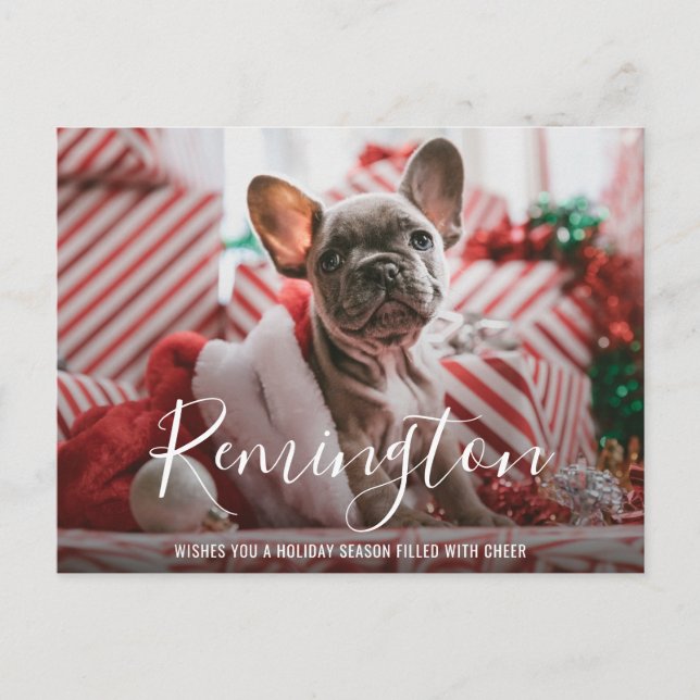 Modern Bold Name Dog Photo Elegant Christmas Holiday Postcard (Front)
