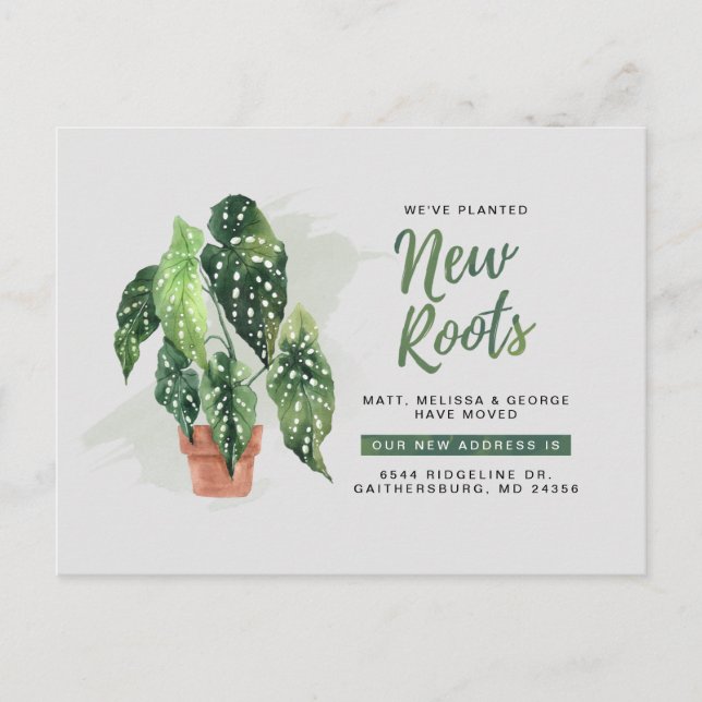 Modern Botanical New Address Roots Moving Announcement Postcard (Front)