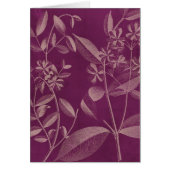 Modern Botany III (Front)