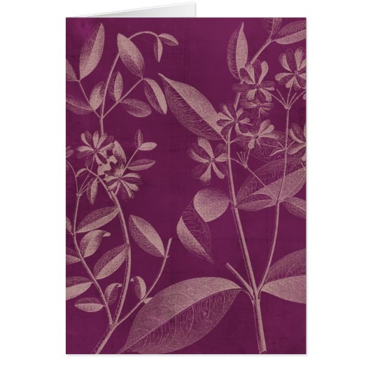 Modern Botany III Cards (Front)