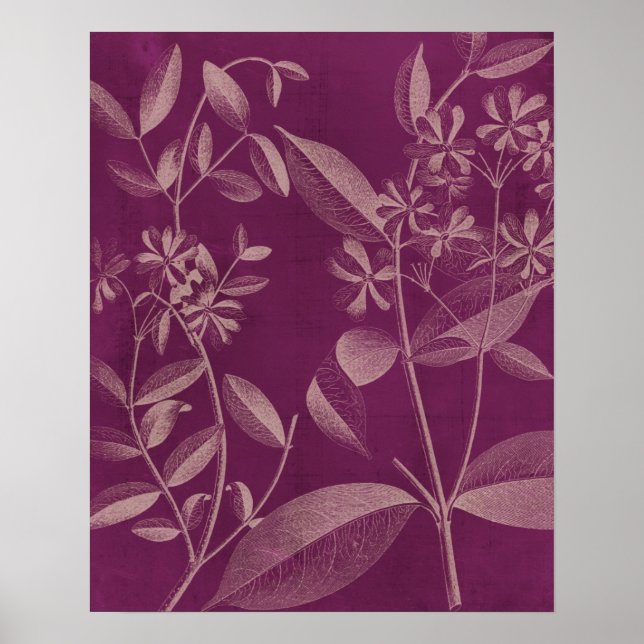 Modern Botany III Poster (Front)