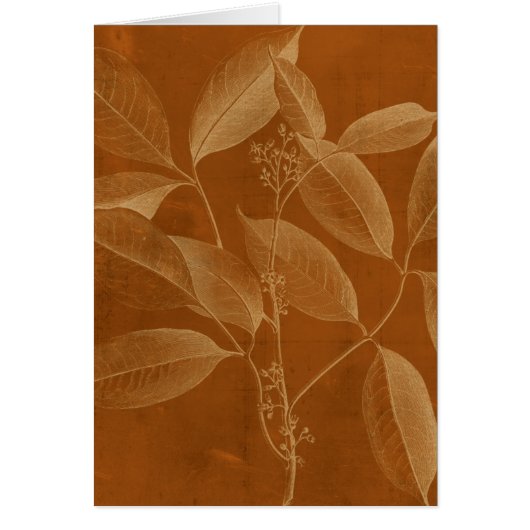 Modern Botany VI Cards (Front)