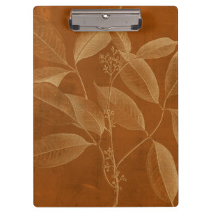 Modern Botany VI Clipboard