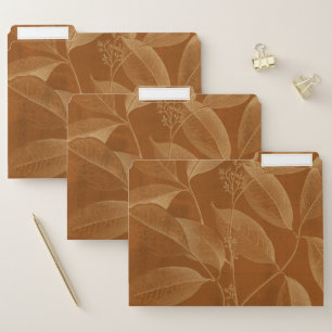 Modern Botany VI File Folder