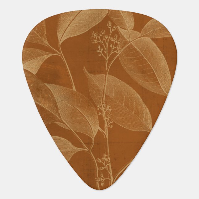 Modern Botany VI Guitar Pick (Front)