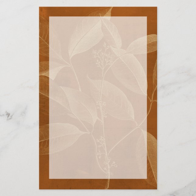 Modern Botany VI Stationery (Front)