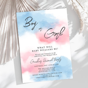 Modern Boy or Girl Gender Reveal Party Invitation