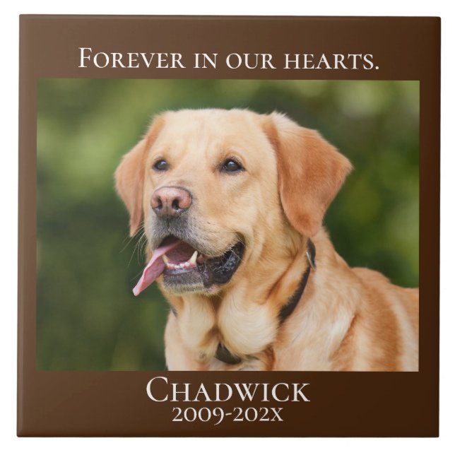 Modern Brown Add Photo Pet Memorial  Ceramic Tile (Front)