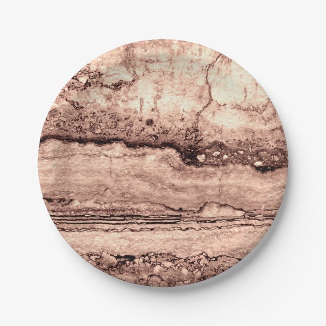 Modern brown beige sepia burnt orange granite  paper plates (Front)
