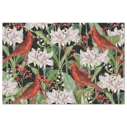 Modern Cardinal Amaryllis Collage Tissue Paper