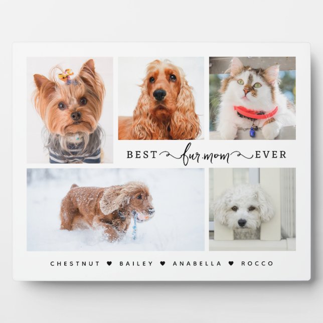Modern Cat & Dog Mom Gift Best Fur Mom Ever Photo Plaque (Front)
