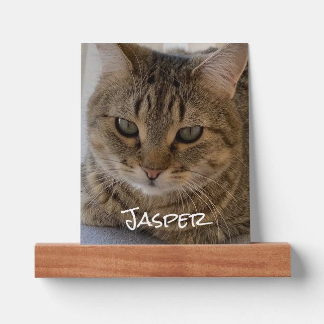 Modern Cat Photo Name Picture Ledge (Front)