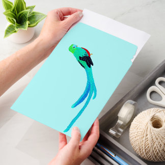 Modern cheerful quetzal envelope mailers